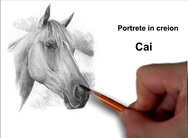 Portrete cai desene în creion