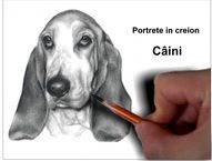 Portrete câini desene în creion grafică la comandă
