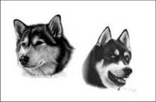 Portret desen în creion cu doi câini la comandă